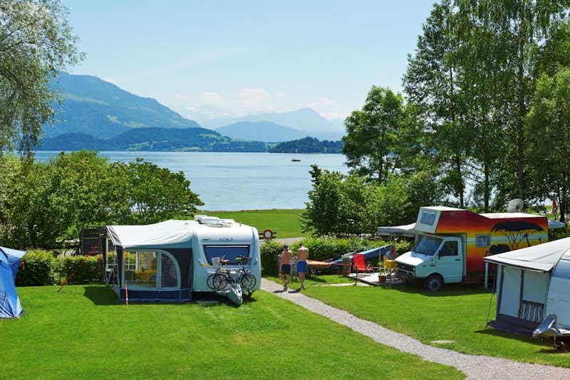 TCS-Camping Zugersee  -  Campingplatz mit direktem Zugang zum Zuger See und Blick auf die Berge