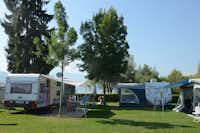 TCS-Camping Zugersee- Wohnwagenstellplatz zwischen Weg und See auf der Wiese der Campingplatzanlage