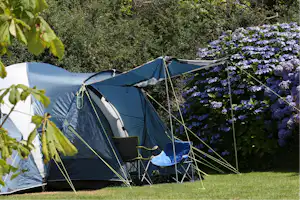 Tehidy Holiday Park - Zeltplatz auf der Wiese