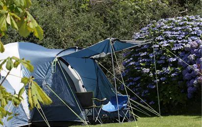 Tehidy Holiday Park