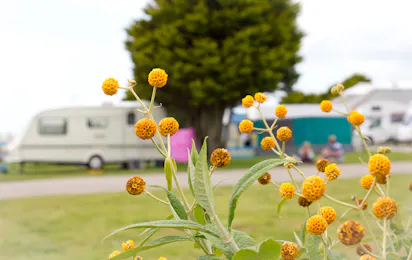 Tencreek Holiday Park