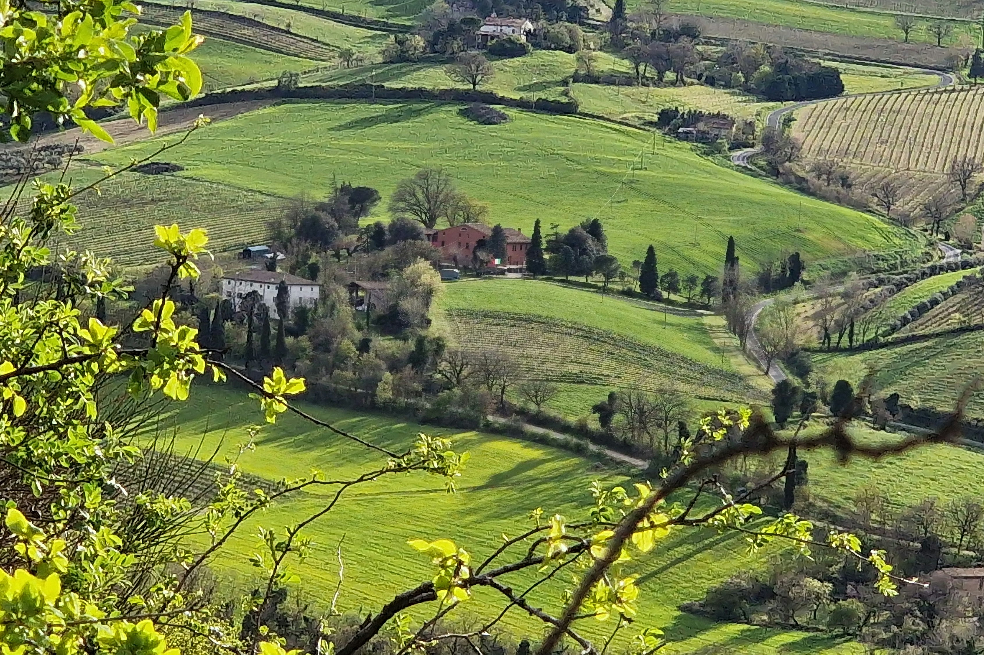 Tenuta Mamie Marianne