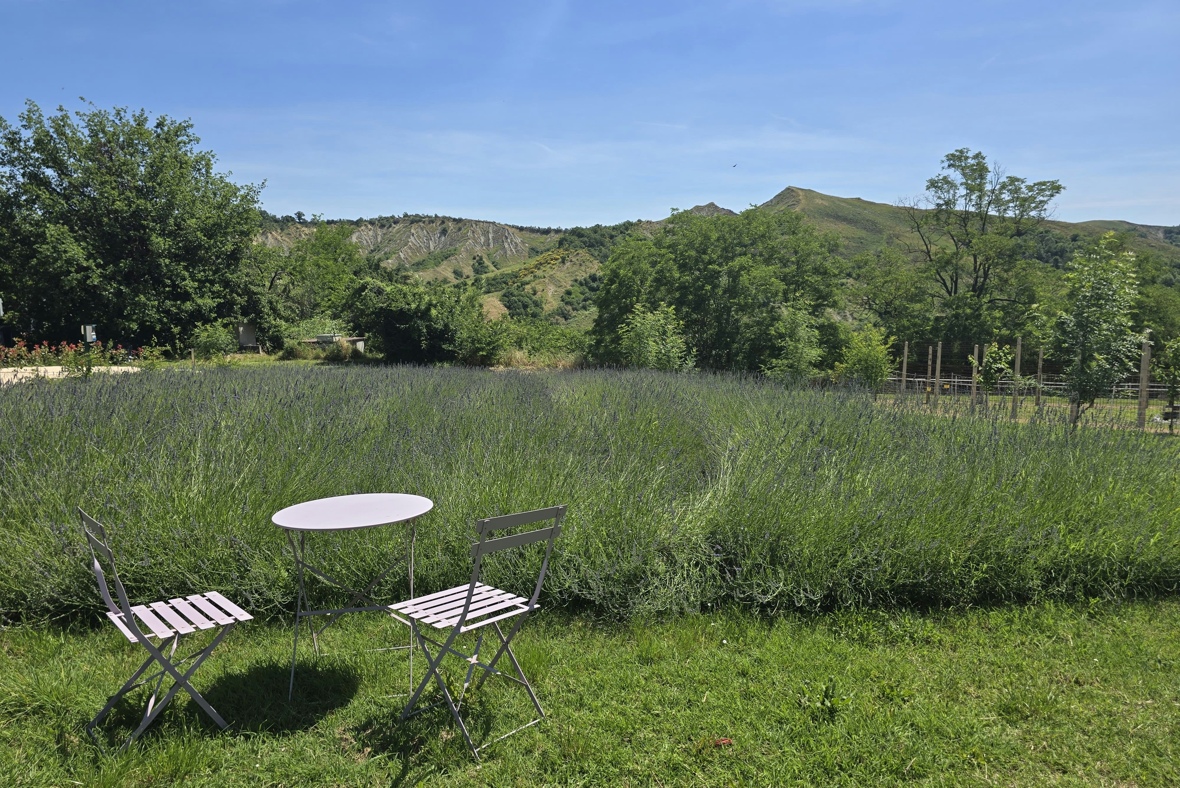 Tenuta Mamie Marianne - Sitzgelegenheit am Lavendelfeld