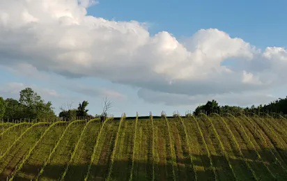 Tenuta Mamie Marianne
