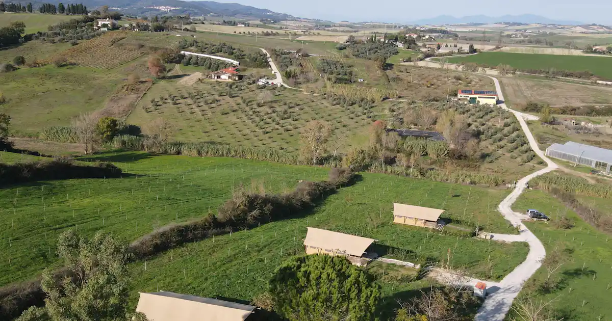 Tenuta San Pierino photo 5
