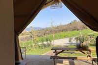 Tenuta San Pierino - Aussicht von einem Glamping-Zelt aus