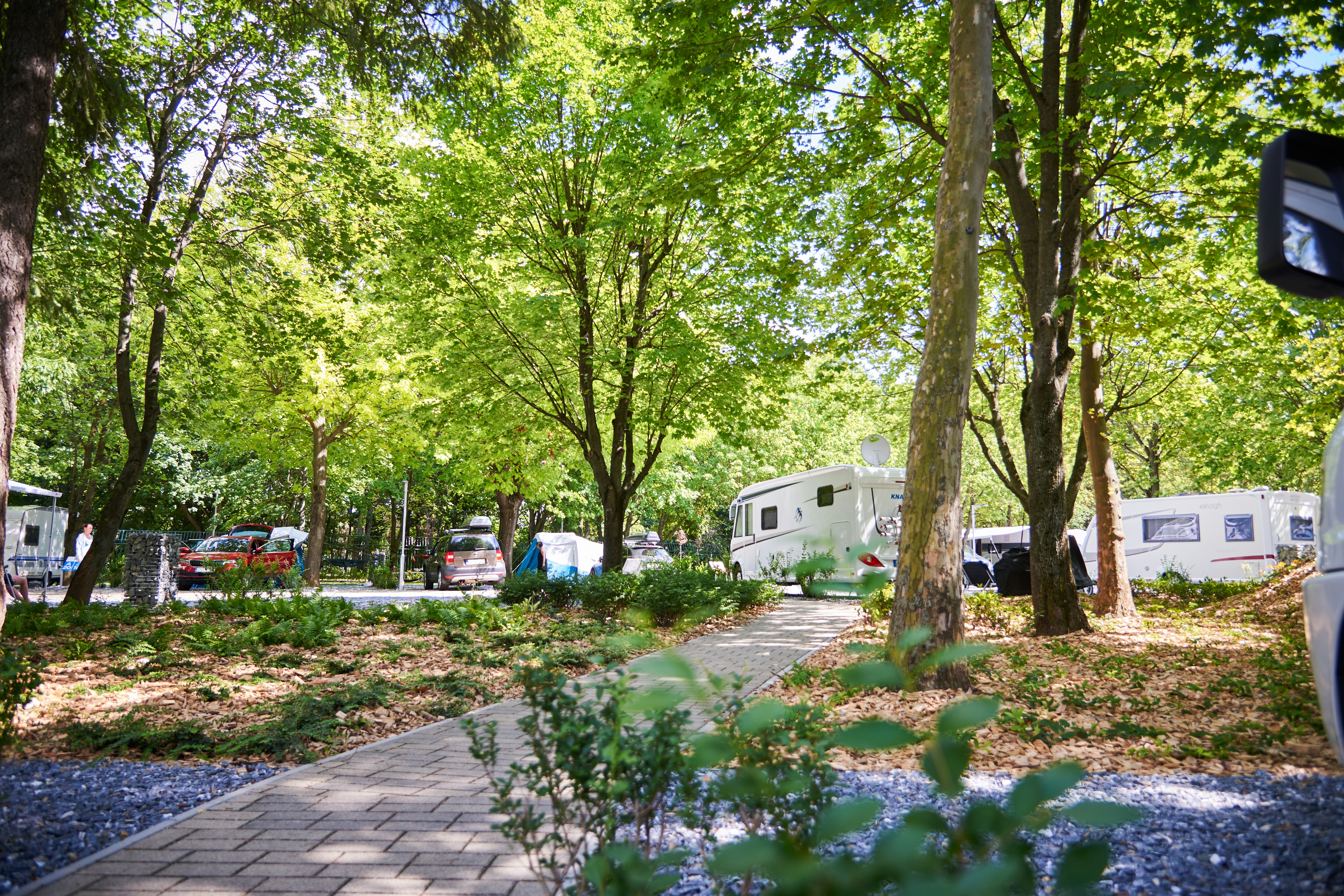 Termál Gyógykemping  Thermal Camping Bükfürdő - Stellplätze zwischen den Bäumen