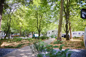 Termál Gyógykemping Thermal Camping Bükfürdő - Stellplätze zwischen den Bäumen