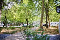 Termál Gyógykemping  Thermal Camping Bükfürdő - Stellplätze zwischen den Bäumen