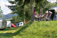 Terrassen Camping Traisen  -  Wohnwagen- und Zeltstellplatz vom Campingplatz im Grünen