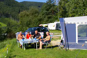 Terrassen Camping Traisen - Wohnwagenstellplatz und Wohnmobilstellplatz vom Campingplatz auf grüner Wiese