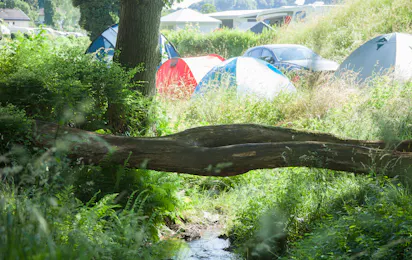 Terrassencamping-Schlierbach