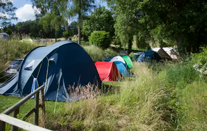 Terrassencamping-Schlierbach