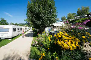 Terrassencamping Turnersee - Wohnwagenstellplatz und Wohnmobilstellplatz vom Campingplatz im Grünen