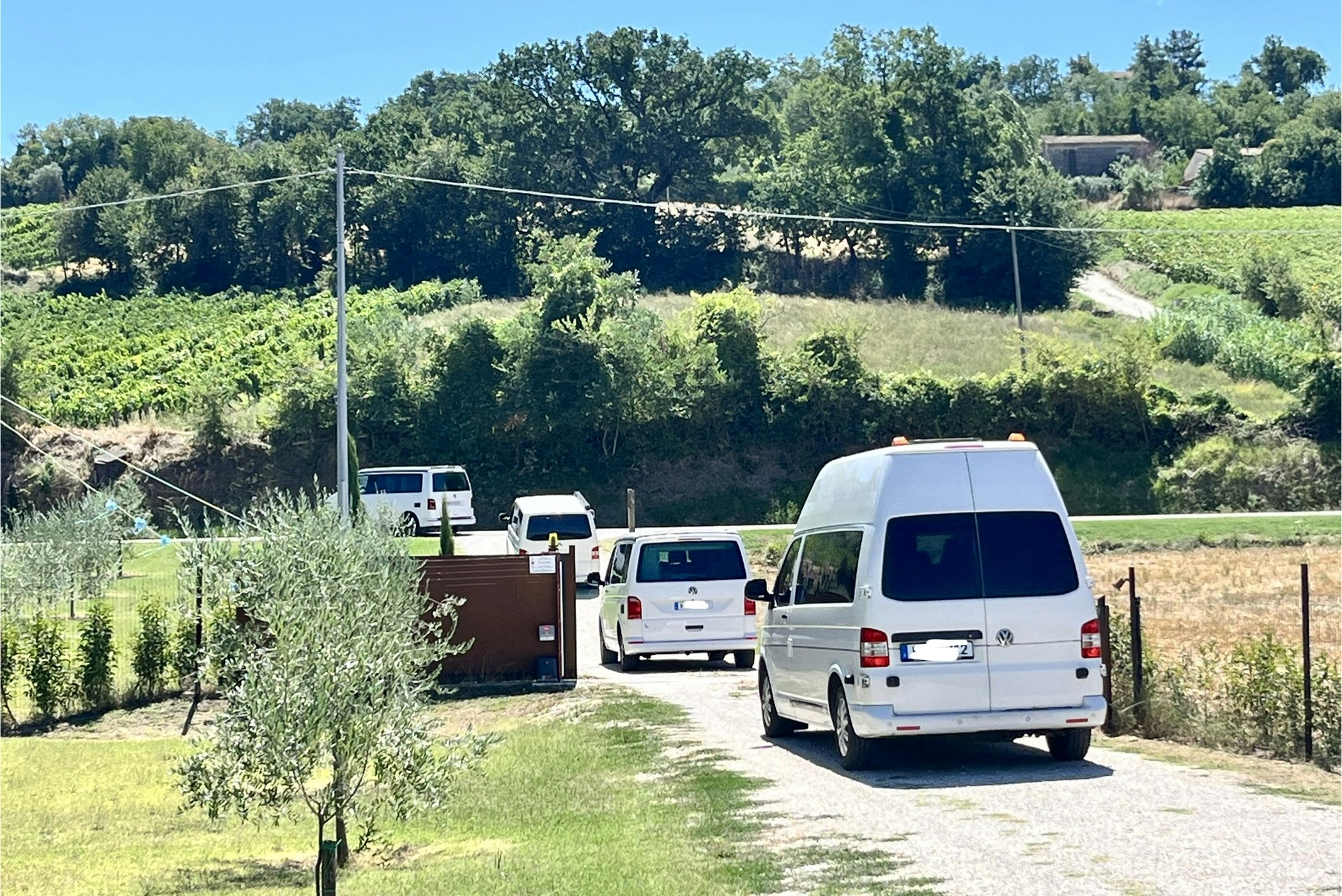 Terre del Piano