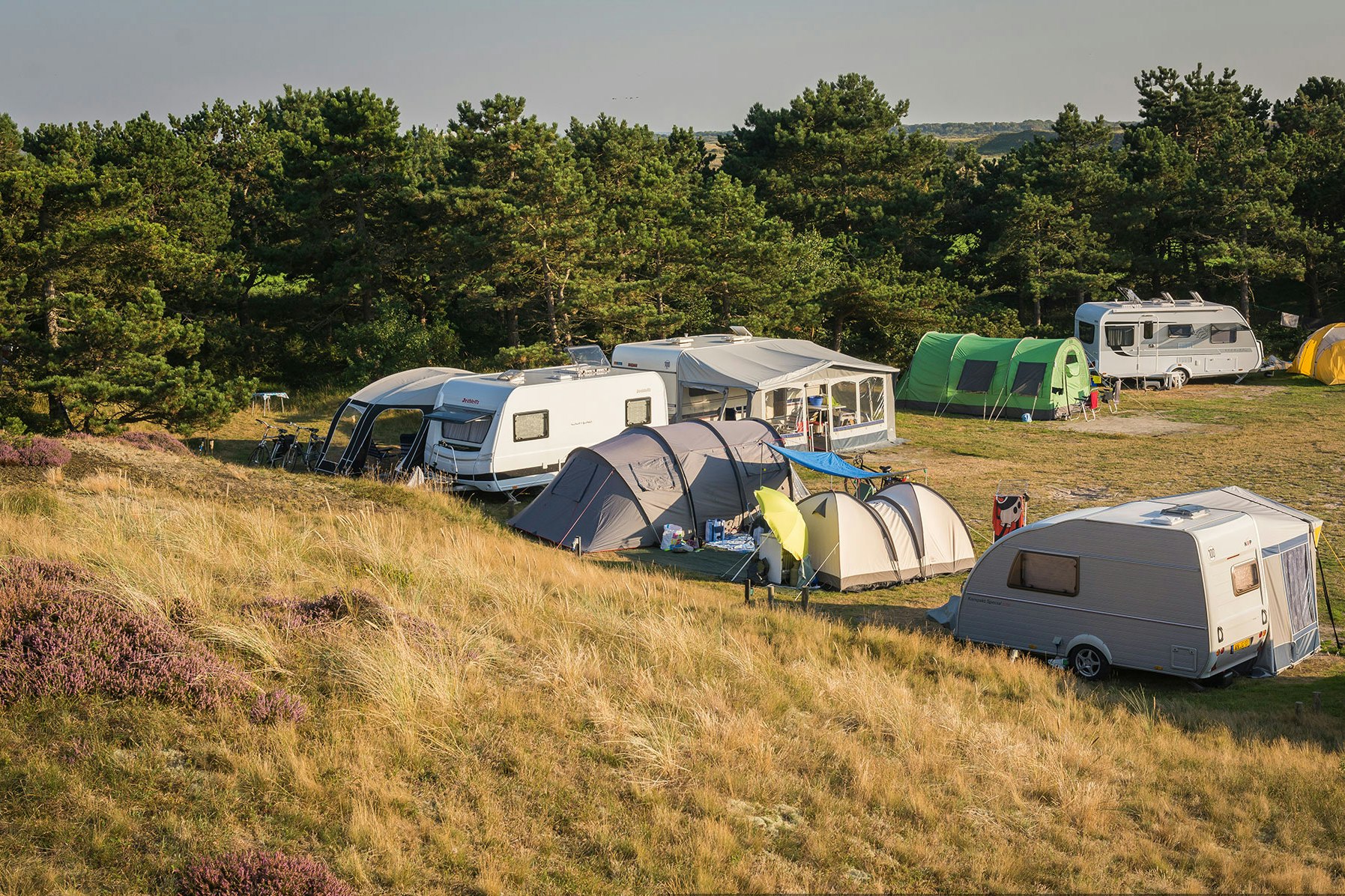 Campingplatz mit mehreren Wohnwagen und Zelten auf einem Hang, im Hintergrund Bäume und ein Wohnmobil.