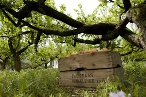 The Apple Camping & Caravan Park - Natur