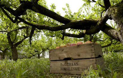 The Apple Camping & Caravan Park