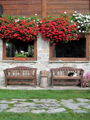 Campeggio Il Gatto e La Volpe