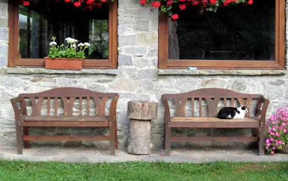 Campeggio Il Gatto e La Volpe