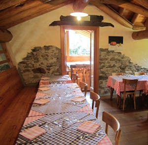 Campeggio Il Gatto e La Volpe