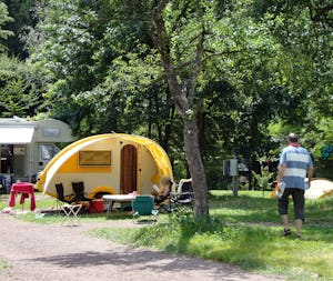 Campeggio Il Gatto e La Volpe