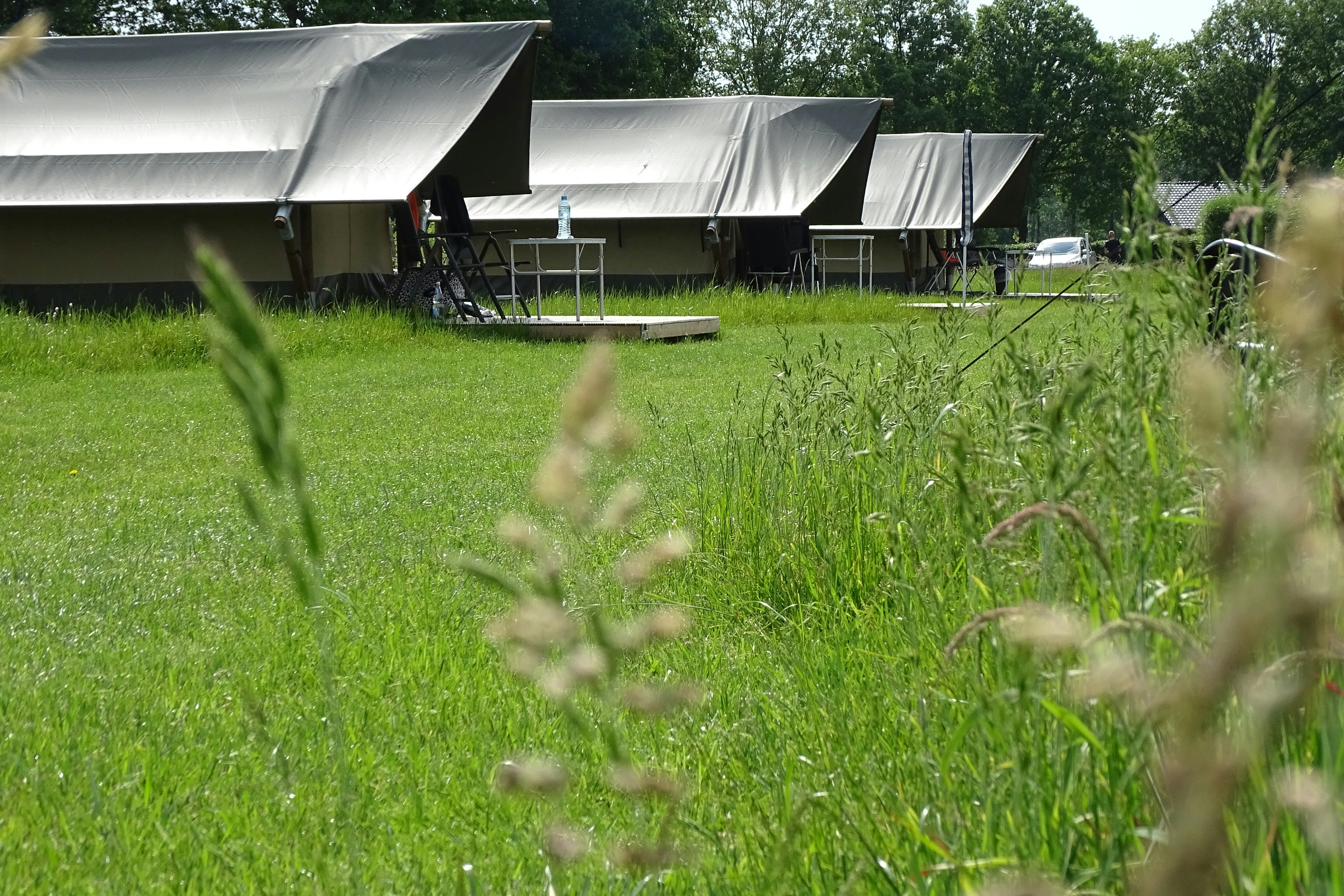 De Regge-Vallei  The Regge-Vallei - Mobilheime Außenansicht