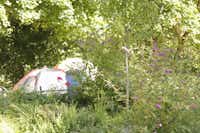The Tent Munich - Zeltplätze im Schatten der Bäume auf dem Campingplatz