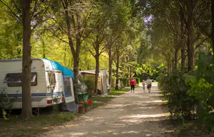 Thermalcamping Castrum Hajdúböszörmény - Spazierweg im Wald zwischen Wohnwagen und Bäume auf dem Campingplatz