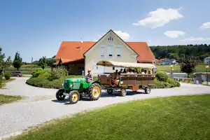 Thermenland Camping Bad Waltersdorf - geführte Aktivitäten auf dem Campingplatz