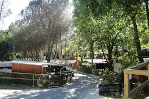 Campingplatz-Allee mit hohen Bäumen, Holzunterkünften und einem gepflasterten Weg zwischen den Parzellen.