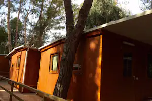 Holzbungalow mit Veranda und Geländer, große Fenster und Baumstamm im Vordergrund im Campingbereich.