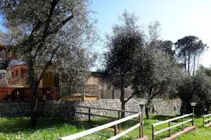 Olivenbäume vor einem Holzzaun, dahinter gelbe Ferienhäuser und ein Steinmauerabschnitt auf dem Campinggelände.