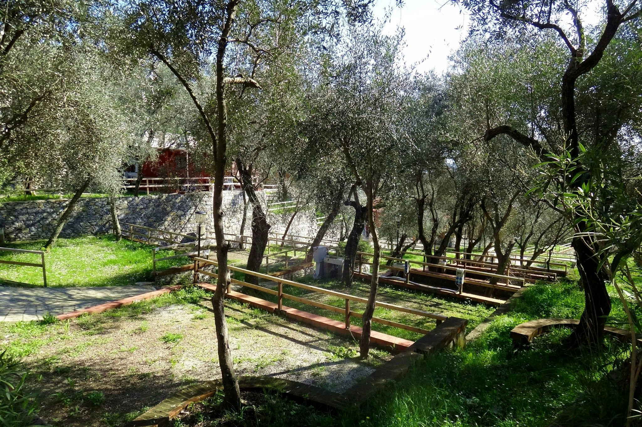 Tigullio Camping e Resort - Zeltplätze im Schatten der Bäume auf dem Campingplatz