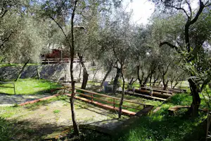 Campingplatz im Grünen: Holzstege und Sitzbänke zwischen Bäumen, Steinmauer und Wege im Hintergrund.