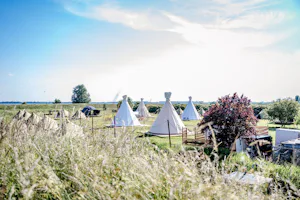 TinyParks Tiengemeten