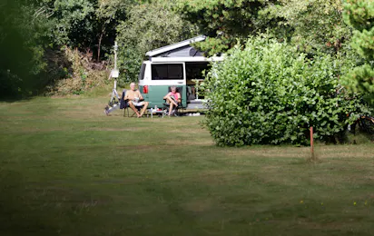 Tipperne Camping