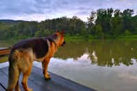 Tiszavirág Camping - Camping mit Hunden am Fluss