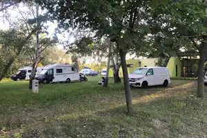 Stellplätze auf einem Campingplatz im Grünen mit Wohnmobilen und Transportern zwischen Bäumen und Rasenfläche.