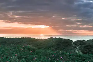 Tolne Bakker Camping - Luftaufnahme des Campingplatzes bei Sonnenuntergang