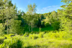 Tolne Bakker Camping - Blick auf den Campingplatz im Grünen