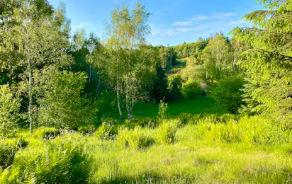 Tolne Camping