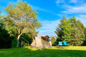 Tolne Bakker Camping - Blick auf einen Zeltplatz im Grünen