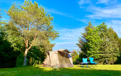 Tolne Camping