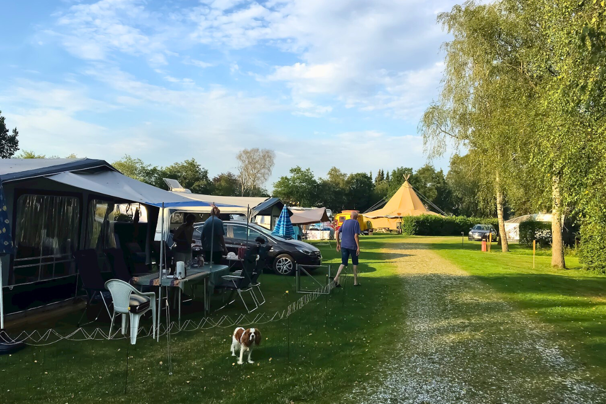 Tørring Camping - Standplätze auf dem Campingplatz