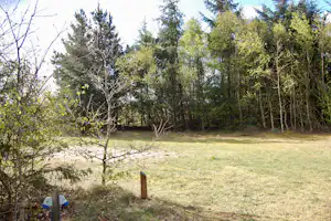 Tranum Klit Camping - Leere Stellplätze im Grünen auf dem Campingplatz