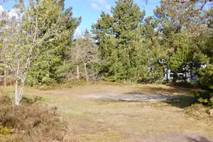 Tranum Klit Camping - Stellplätze auf der Wiese
