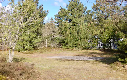 Tranum Klit Camping