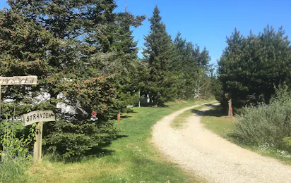 Tranum Klit Camping