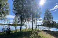 Trehörningsjö Camping och Stugor - Blick auf das Ufer des Sees